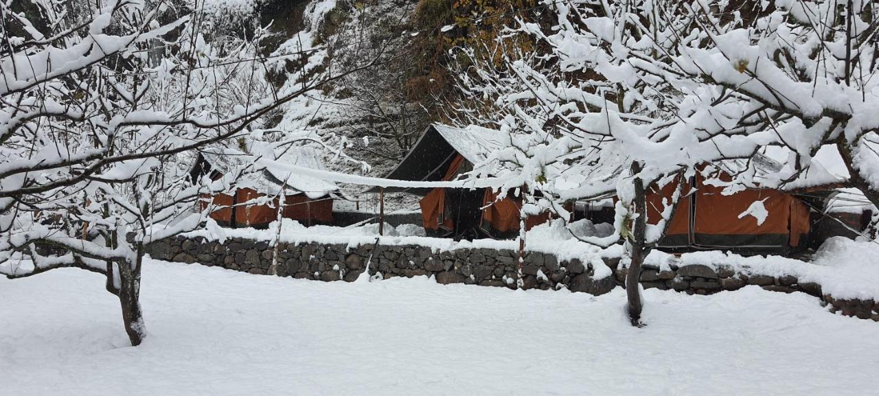 Himtrek RiverSide Camps&Hostel Manali Buitenkant foto