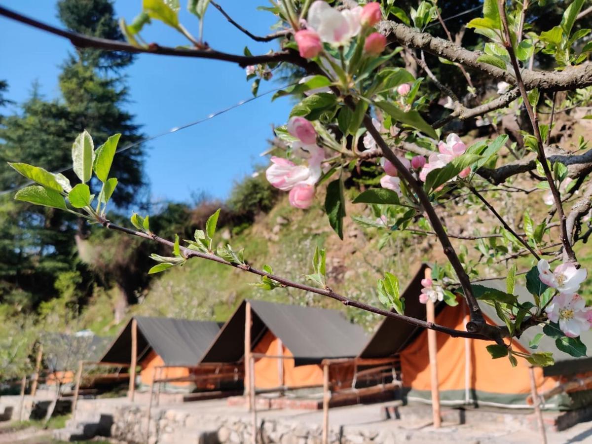 Himtrek RiverSide Camps&Hostel Manali Buitenkant foto