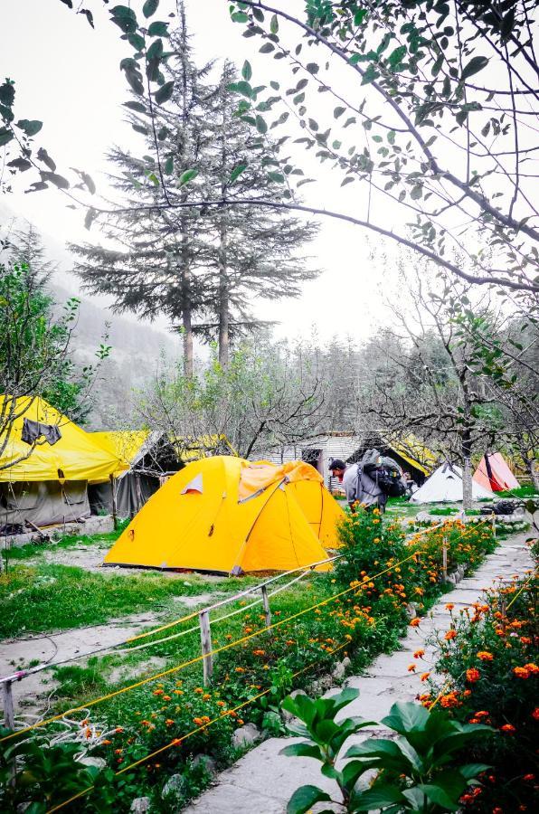 Himtrek RiverSide Camps&Hostel Manali Buitenkant foto