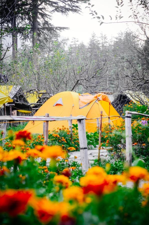 Himtrek RiverSide Camps&Hostel Manali Buitenkant foto