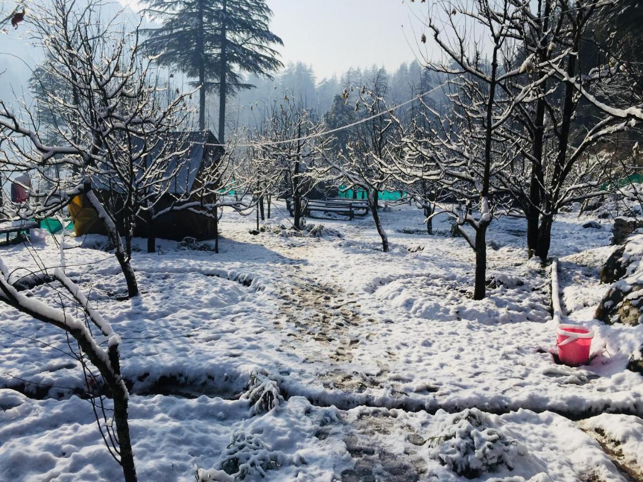 Himtrek RiverSide Camps&Hostel Manali Buitenkant foto